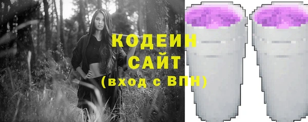 соль ск Кемь