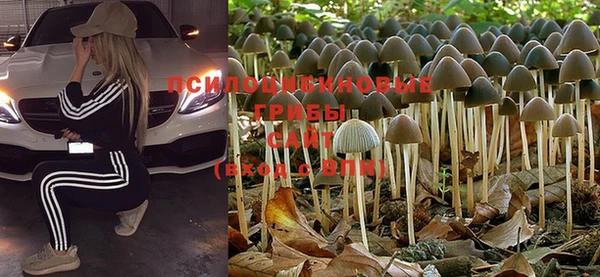 гашиш Туринск