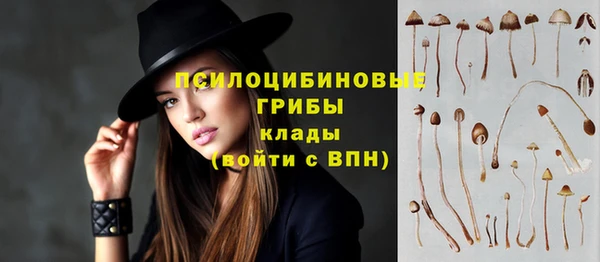 ПСИЛОЦИБИНОВЫЕ ГРИБЫ Вязьма
