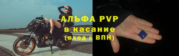 ГАЛЛЮЦИНОГЕННЫЕ ГРИБЫ Вяземский