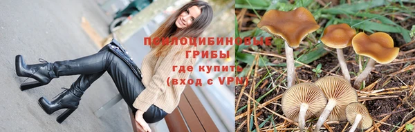 ПСИЛОЦИБИНОВЫЕ ГРИБЫ Вязьма