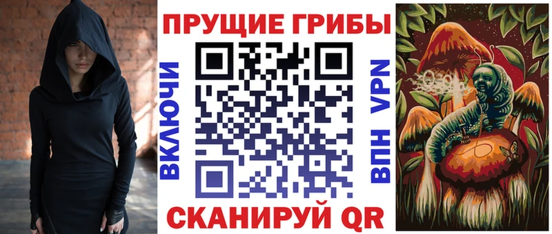 Галлюциногенные грибы Psilocybe  гидра ONION  Новоржев  купить  
