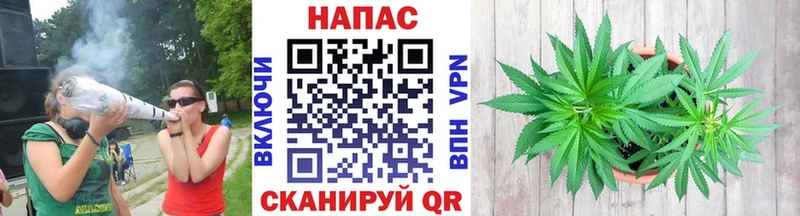 Канабис Bruce Banner Новоржев